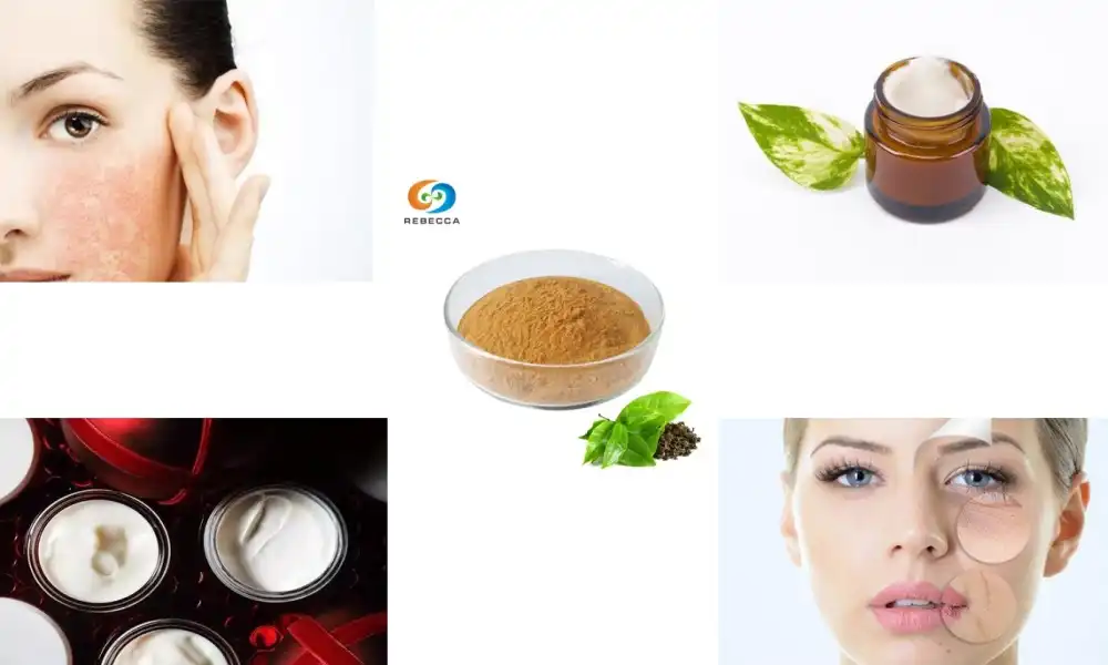 Why Tea Polyphenols Are Trending in Anti-Aging Cosmetics?